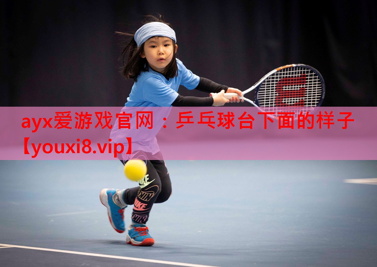 乒乓球台下面的样子 乒乓球台下面的样子