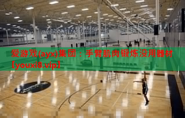 爱游戏(ayx)集团：手臂肌肉锻炼没用器材