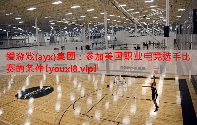 爱游戏(ayx)集团：参加美国职业电竞选手比赛的条件