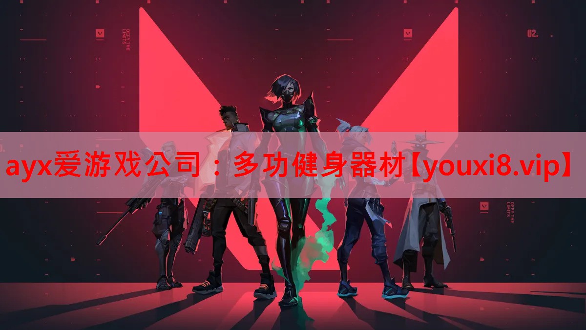 ayx爱游戏公司：多功健身器材