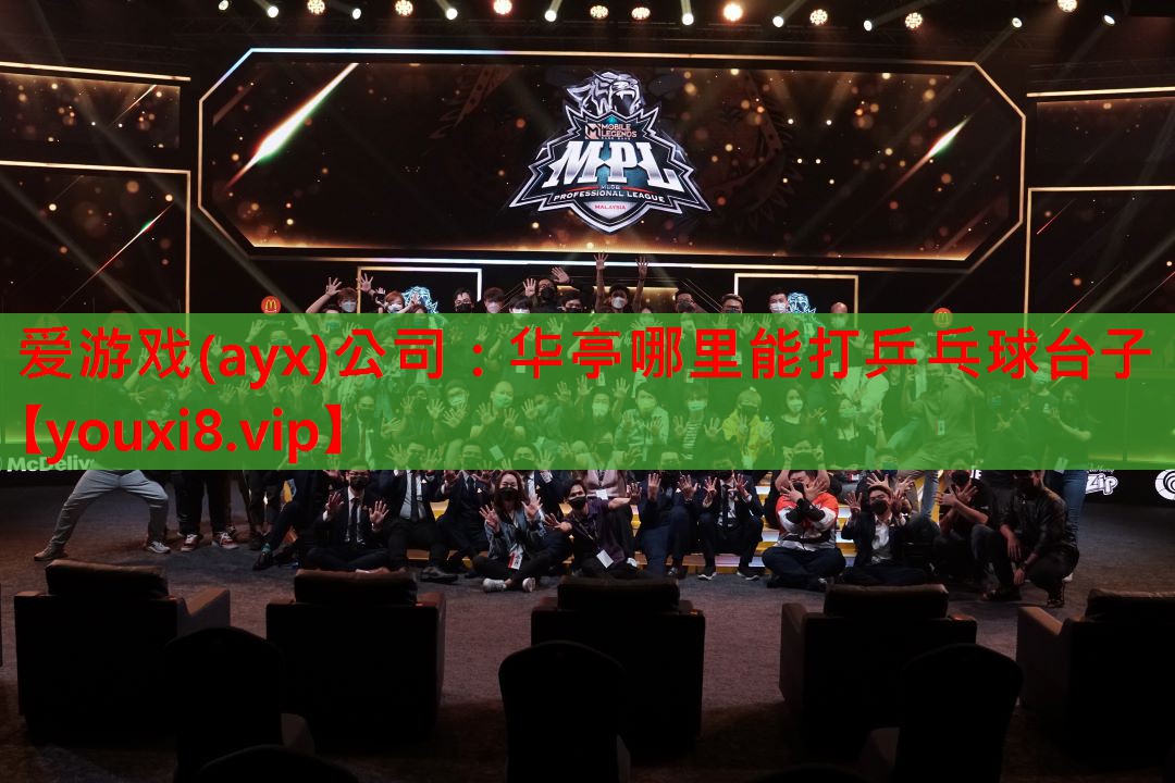 爱游戏(ayx)公司：华亭哪里能打乒乓球台子