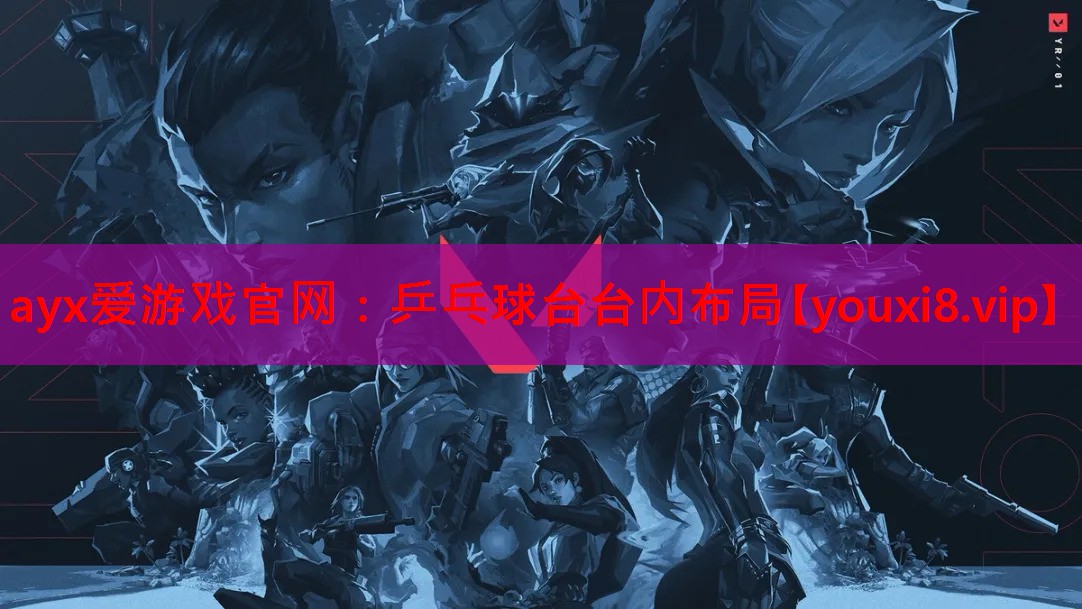 乒乓球台台内布局 乒乓球台台内布局