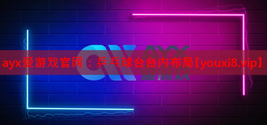 乒乓球台台内布局 乒乓球台台内布局