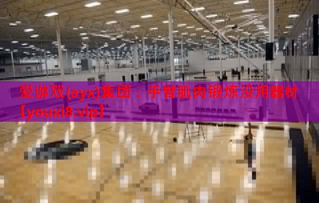 手臂肌肉锻炼没用器材 手臂肌肉锻炼没用器材