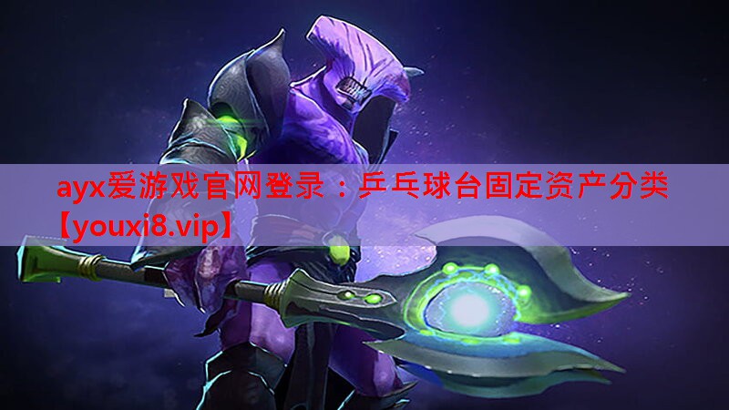 乒乓球台固定资产分类 乒乓球台固定资产分类